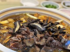 -爱膳菌锅锅(阳南店)