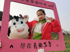 -秀丽东方