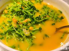 上汤豌豆苗-雀蓝川菜(奥体广场店)