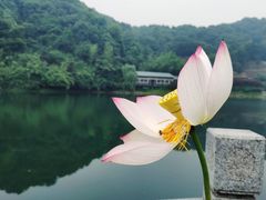 -天地生态农庄