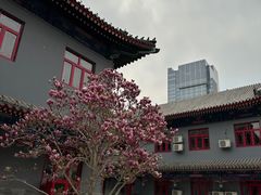 -天津大悲禅院