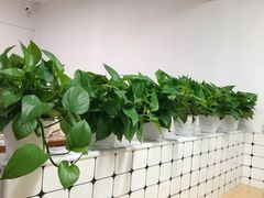 -金粿粿·牛肉粿