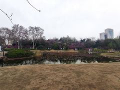 -紫荆山公园
