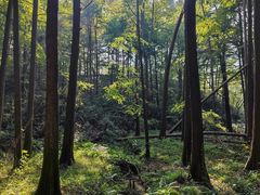 -波尔登森林公园