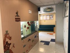 -杭州贝瑞斯美华妇儿医院·早孕·产检·儿科