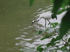 -杭州野生动物世界