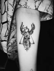 点击看大图 动物-怪咖纹身刺青