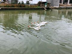 -同里国家湿地公园