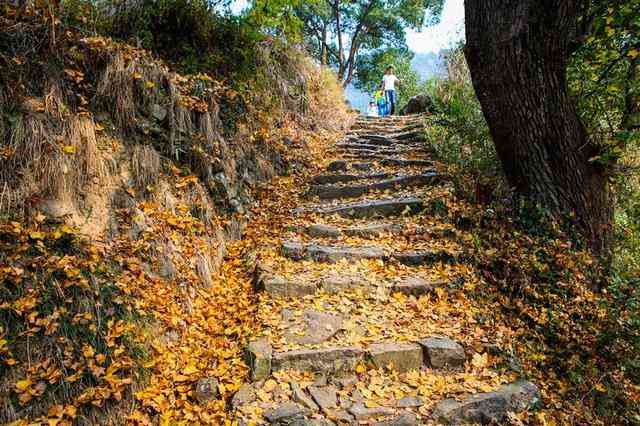 东坪古道