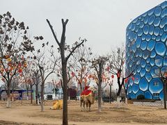 -华夏文旅海洋公园