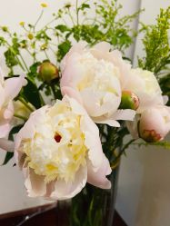 -美肤盾祛痘·问题肌头疗管理中心