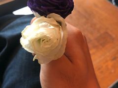 -怡品堂·金宴 (北京索菲特大酒店)