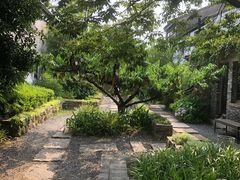 -田园东方蜜桃村的田野营地