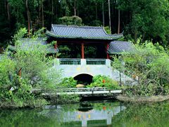 -广州神农草堂中医药博物馆