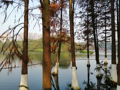-重庆彩云湖湿地公园