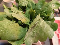 -君邦火锅(新疆大厦店)