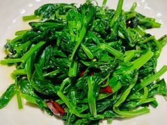 炝炒豌豆尖-金谷仓家庭料理(马泉营店)