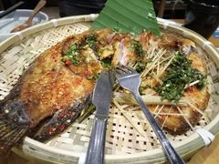 -云海肴·汽锅鸡·云南菜(天津国金汇店)