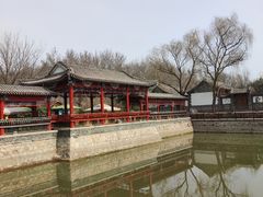 -尚庄度假村·庭台树下·户外烧烤·团建CS·轰趴营地(上庄水库店)