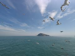 -海驴岛(荣成市)