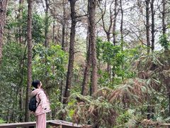 -铁山坪森林公园