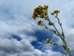 -亿利库布其七星湖沙漠生态旅游区
