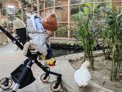 -南宫五洲植物乐园