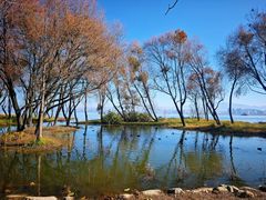 -洱海月湿地公园