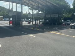 -佘山国家森林公园-1号地面停车场
