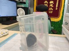 -雨林宠物医院 非犬猫异宠专科
