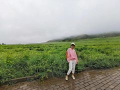 -扁都口生态休闲旅游区