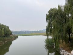 -大兴滨河森林公园