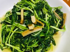 -全乐鱼馆·淳牌有机鱼直营店