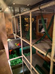 -尼克Playtime(欢乐海岸店)