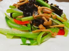 菌菇炒菜心-海鲜码头·中国菜