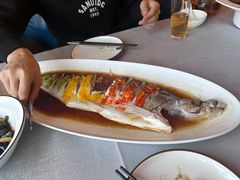 -便宜坊烤鸭店(科创店)