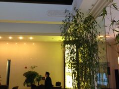 -春兰国宾馆(凤城河风景区老街店)