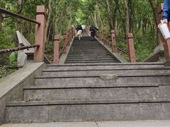 -黄贤森林公园