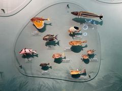 -中国湿地博物馆