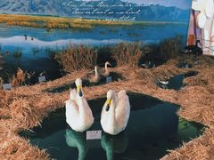 -延庆地质公园博物馆