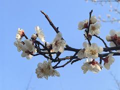 -上海吴淞炮台湾国家湿地公园