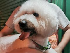 -三兄弟高炉烧饼