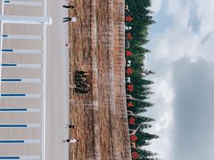 -贵州森林野生动物园