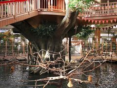 -南宫五洲植物乐园