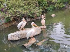 -昆明动物园
