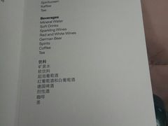 -德国汉莎航空公司