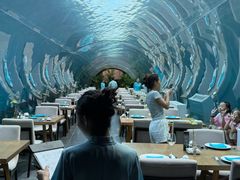 -海棠湾洲际-涛·海底餐厅·美人鱼·自助餐·海底隧道