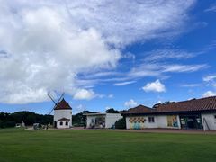 -济州森林小火车生态公园