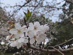 -苏州上方山国家森林公园