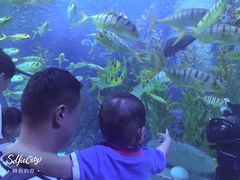 -芜湖新华联大白鲸海洋公园